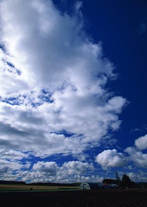 静岡市で信頼の葬儀サービスを提供する富士葬祭 豊田：安心・丁寧な家族葬と充実のサポート体制