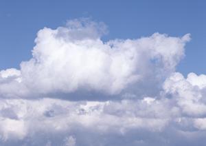 大阪市で安心して選べる樹木葬：アクセス良好で納得の供養施設ガイド