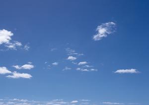 静岡県で信頼と実績の家族葬専門施設：家族葬のタクセルの特徴と最新情報