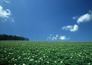 浜松市の安心・信頼の葬儀場【富士葬祭 浜北沼】で手厚いサポートと高品質な葬儀サービスを実現