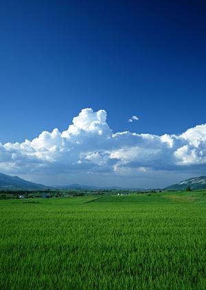 静岡県浜松市に新たにオープンした家族葬専門斎場「家族葬のタクセル住吉」の特徴と利点