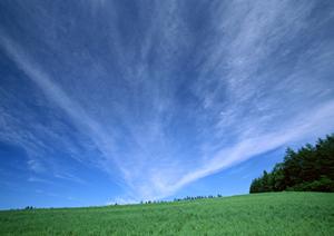 静岡県富士宮市の安心と信頼を築く葬儀サービス｜富士葬祭の特徴と店舗情報