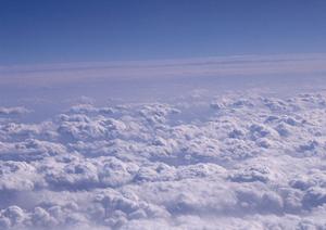 山梨でペット供養を考えるなら知っておきたい最新のポイント徹底解説【2026年版】